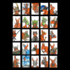 A1 Poster "De Bende van Roodstaart" - Afbeelding 2
